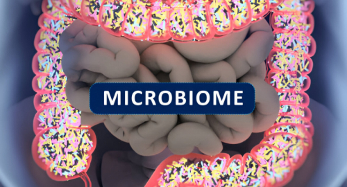 Svelare il Microbiota Intestinale: Implicazioni per la Nutrizione Personalizzata e la Medicina di Precisione